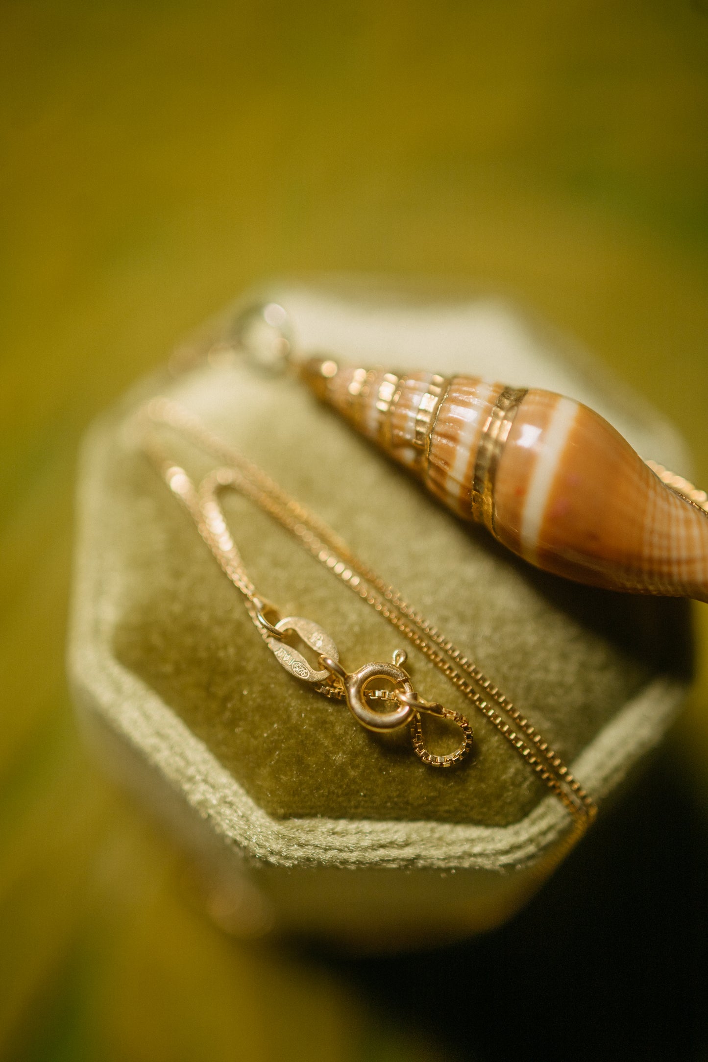 Genuine Shell Pendant Necklace