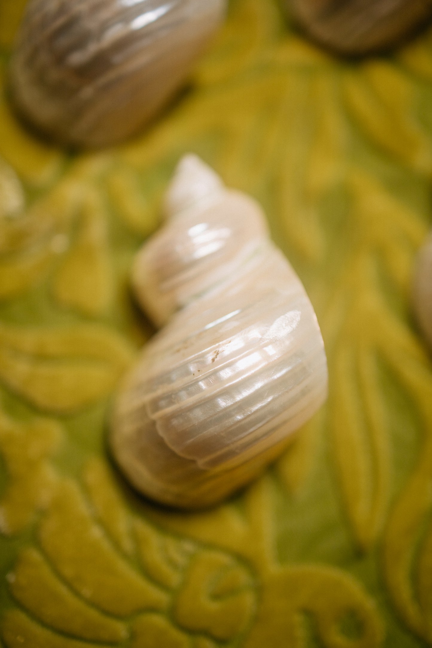 Set of Four Shell Napkin Rings