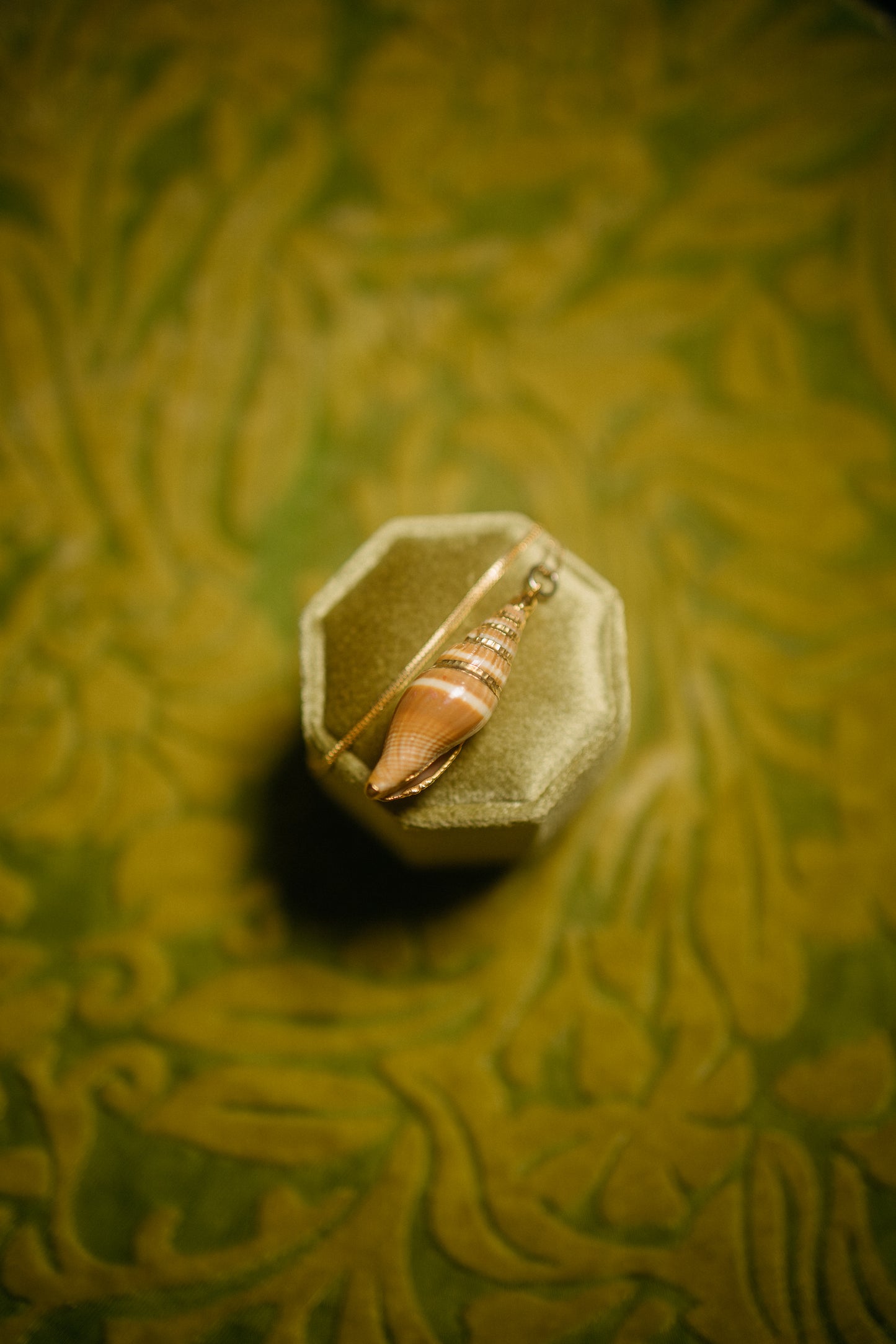 Genuine Shell Pendant Necklace